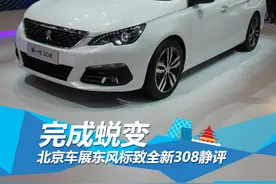 北京车展东风标致全新308静评图片