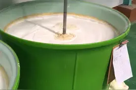 泰国乳胶工厂 有点绝命毒师的感觉