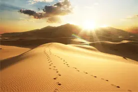 炎夏将至，这些汽车用品你的爱车都备好了吗？图片