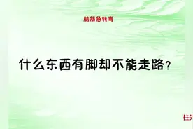脑筋急转弯：什么东西有脚却不能走路？这么简单我却没答对，你呢