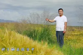 民乐本地民间小调《十二月》，热忱欢迎您来西北最美丽的县城视频封面