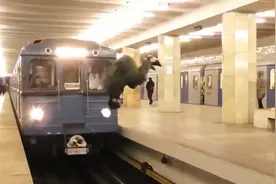 据说这个小伙的youtube账号已经被封了，危害社会安全！