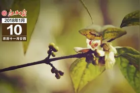 早安，地球村！图片