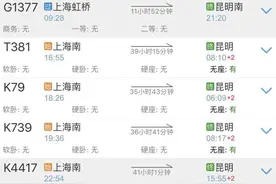 春运抢票首日，部分方向列车被“秒光” 抢票软件加速也无效！图片