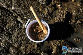寒风吹不走蓬莱市民赶海热情图片