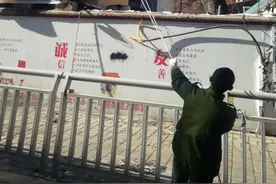 郑州一40年树龄泡桐枯死 众人携手消除隐患图片