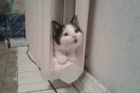 南方姑娘第一次到北方婆家过冬 一进家门惊呆了图片