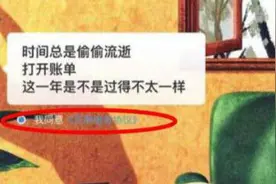 支付宝年度账单默认同意《芝麻服务协议》惹争议 授权协议已作修改图片