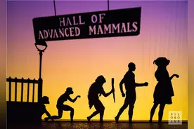 《幻影王国》：他们和影子做游戏，用影子讲故事图片