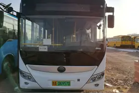 首次启用6位数“身份证”！郑州公交有新牌照了！图片