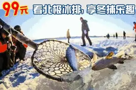 2018最实用的“超级沈阳密码”，人手必备！图片