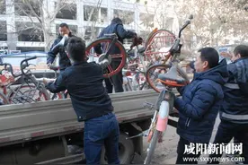 120余辆共享单车乱停乱放被暂扣图片