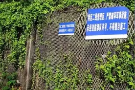 重磅！国务院同意撤销深圳经济特区管理线，撤销后会怎样？图片