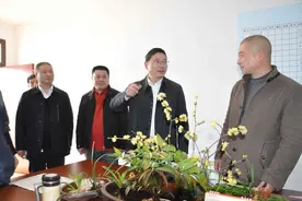 张新宇：加快旧城改造 提升城市品质图片