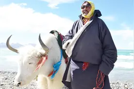 高原高山离太阳那么近为什么气温反而更低？海拔高气温低的原因是视频封面