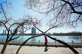 齐齐哈尔市劳动湖春花醉人图片