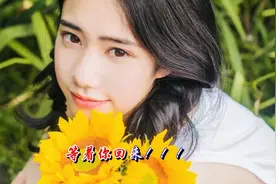 一首最火的歌曲《男人坏女人爱》但野花毕竟有毒啊！