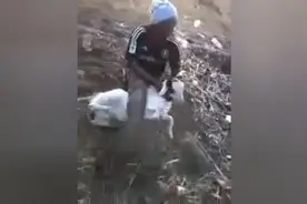 这哥们真狠 将羊打成这样   这事也能做出来