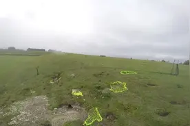 国外野兔到处打洞，网友用雪貂进洞驱赶，猎狗守在洞口，收获颇丰图片