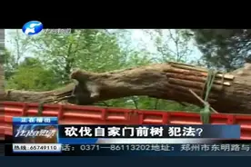 西安：砍伐自家门前树 犯法？视频封面