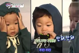 三胞胎想吃虾但是又不敢的样子图片