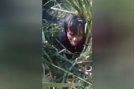 男子徒手从草丛的泥里掏出一条大鱼图片