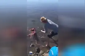 女子从水边抓到一只大章鱼图片