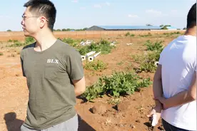 04集：印度人在非洲占据了先发优势，控制了当地经济视频封面