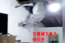 连着下了几天雨 天上掉下一头驴 砸穿屋顶掉入厨房 小伙蒙圈了