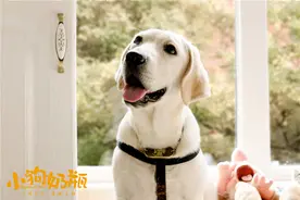 奶瓶开嗓“汪”经典儿歌 马达惊喜出镜《小狗奶瓶》MV图片