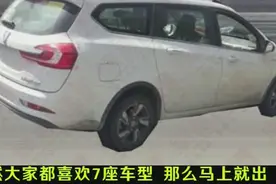 宝骏就是牛310w7座版来了，还卖4.28万？能加个气囊么？视频封面