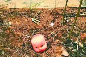 惊悚！孙悟空从石头里蹦出来，这些宝宝从土里“长”出来图片