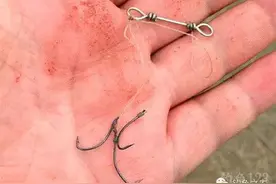 钓技 | 必看！造成脱钩跑鱼的9大原因图片