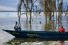 东非大裂谷的湖泊 肯尼亚自然遗产图片