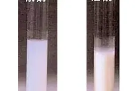 问答｜母乳前奶稀，后奶浓？哪种对宝宝好？图片