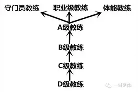 科普： PRO、A、B、C、D级，你了解足球教练等级吗？图片