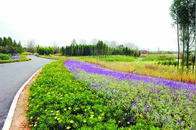 昆明至重庆成都25日实现动车直达 二等座票价341.5元图片