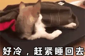 玉林明天或要下雪！这些地方居然还要停电，最长14小时，有你家吗？图片