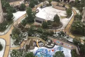 上海这场初雪让你过瘾了吗？别急，接下来雪势将逐渐加大图片
