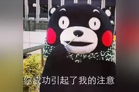 给厦门再取个名，原来还可以叫TA图片