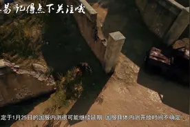 绝地求生：国服迟迟不上线的原因：审核未通过或延期