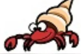 42个动物的英语单词！dolphin？lion？starfish？你都认识吗？图片