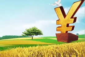涉农资金整合为6大类？哪6类最有可能？图片