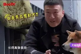 孙红雷说：这只狗长得真像黄渤！图片