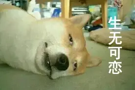 这5座大桥，南宁人应该要了解图片