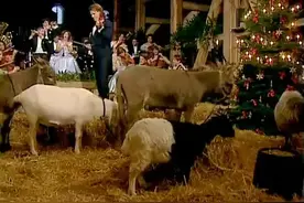 安德烈瑞欧《铃儿响叮当》这次连圈里的驴儿都享受到音乐的盛宴