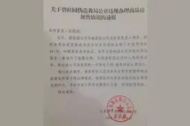 碧桂园私刻萝卜章后续:项目停售 南宁负责人免职图片