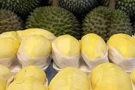 榴莲季到来，清迈哪里的榴莲好吃又便宜？图片