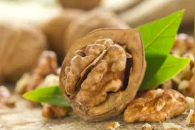 核桃黑斑病如何防治图片