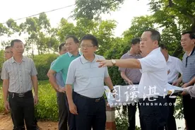 雷州：迎难而上 确保东雷高速雷州段用地如期交付图片